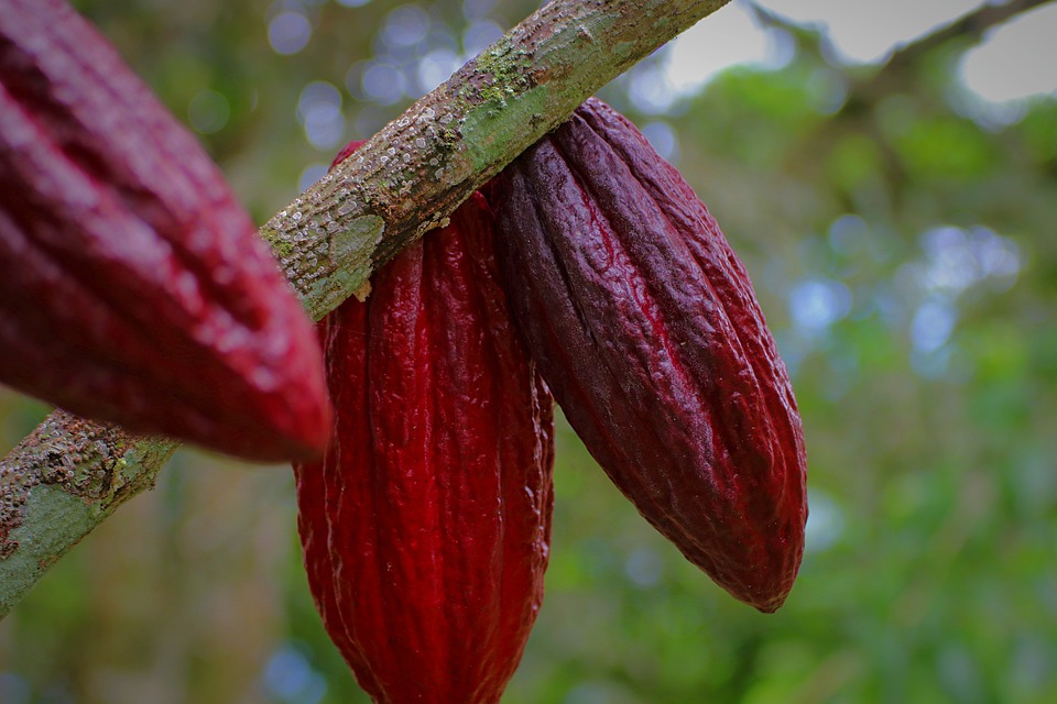 Nguồn